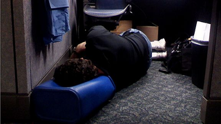 What Is This Slumbering, Slobbery Beast Asleep On The Floor?